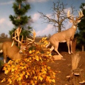 Meet your Posher, Juan